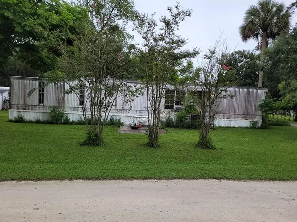 25075 NE 132nd St, Salt Springs, FL 32134