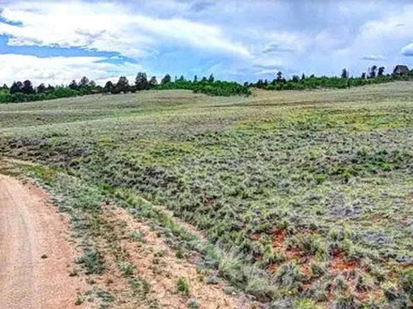 443 McDowell Dr, Como, CO 80432