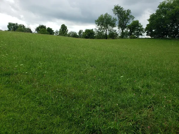 Green Meadows Ln, Jones, MI 49061