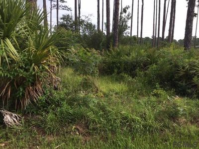 40 Esperanto Dr, Palm Coast, FL, 32164