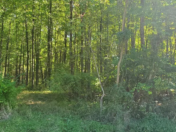 12950 Locust Ridge New Harm Rd, Williamsburg, OH 45176