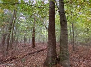 N/a Mackeys Rd, Roper, NC 27970