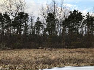 Brandon Rd, Emmett, MI 48022