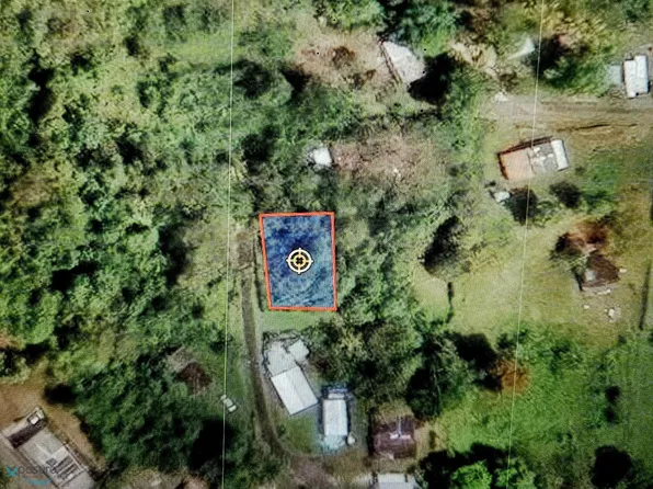 Km 1.0 Carr #184, Patillas, PR 00723