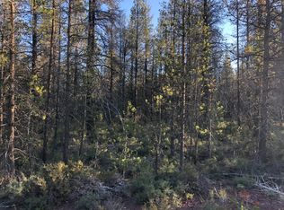 Kirk Vidae Court Block #2-LOT 20, Chiloquin, OR 97624