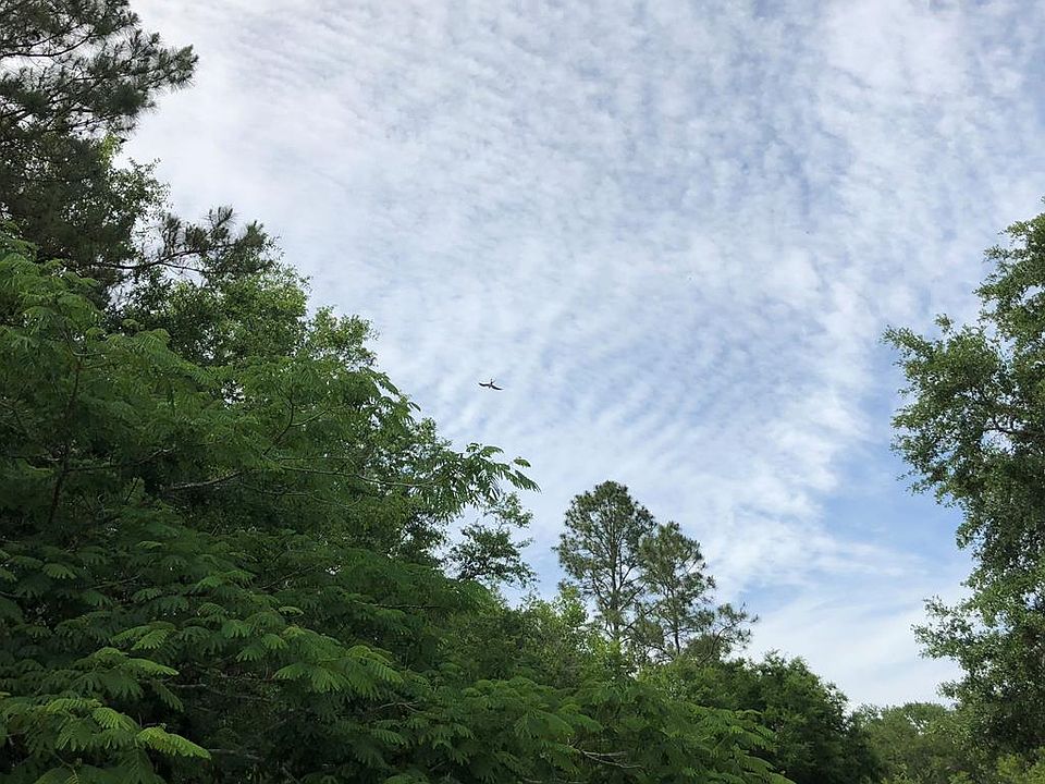 2nd image of Collins Landing Rd