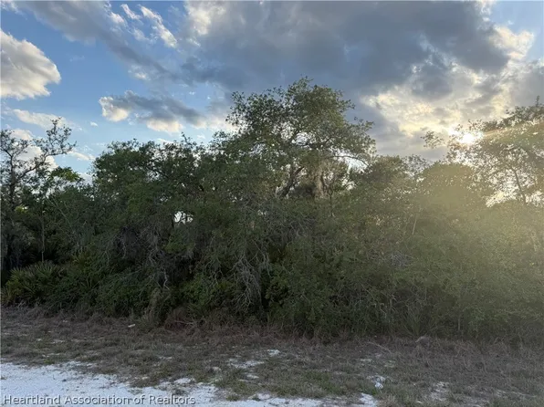 1426 S McCoy Rd, Avon Park, FL 33825