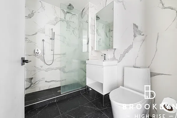 Rented by Brooklyn High Rise LLC | media 169