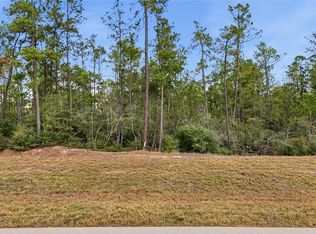 15466 Red Hawk Rd, Willis, TX 77378
