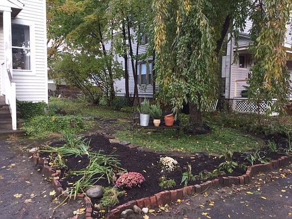 Front yard