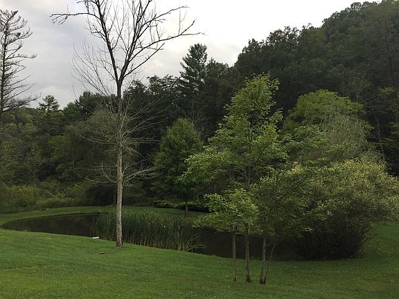 3rd image of 239 Hemlock Dr