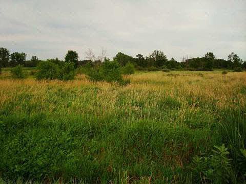 1st image of 0 Baldwin Ct