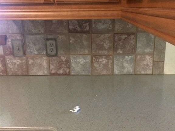4th image of 3505 Regina Cir