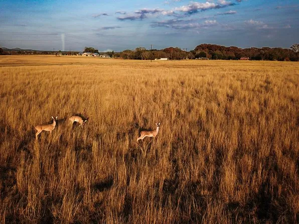 0 Elm Pass Rd, Center Pt, TX 78010