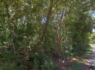 Northwwod Dr, Pointblank, TX 77364