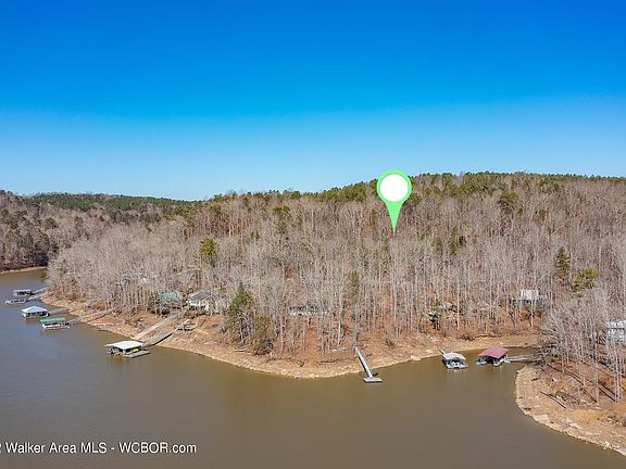 Image 5: From Lake
