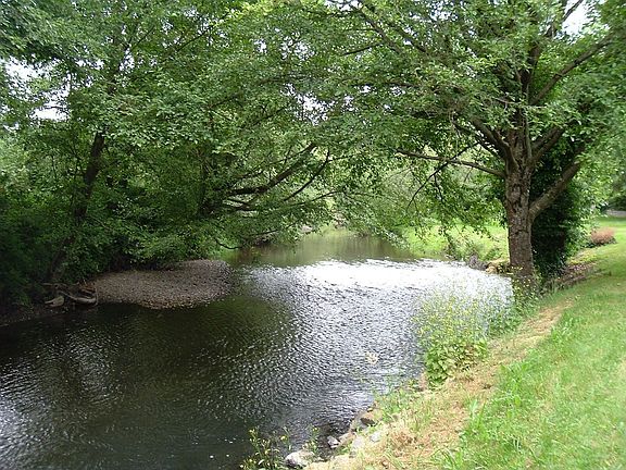 Beautiful River Frontage