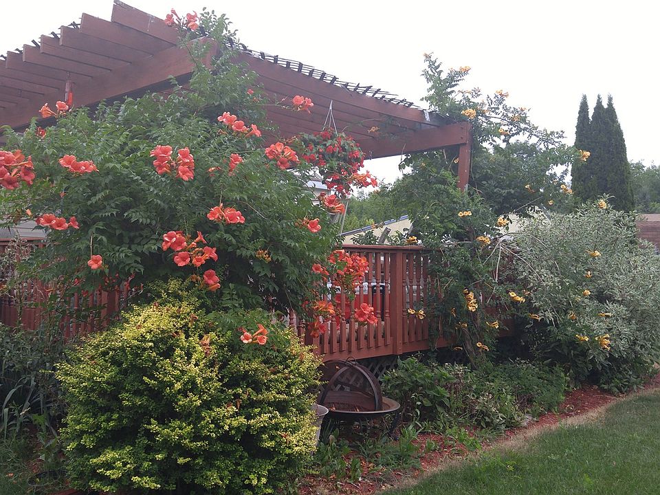 1st image of 362 Oak Tree Dr