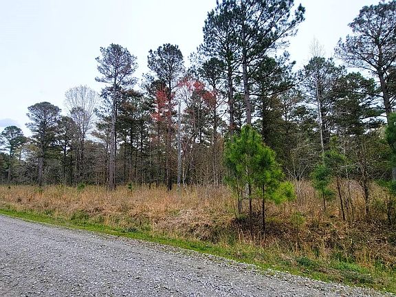 5th image of 305 Trailwood Court LOT 41