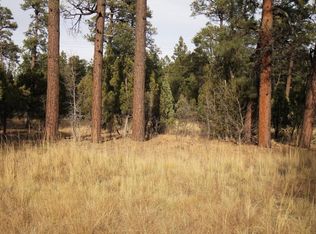 1672 W White Mountain Blvd, Lakeside, AZ 85929