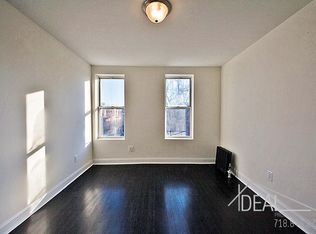 393 Macon St #2, Brooklyn, NY 11233