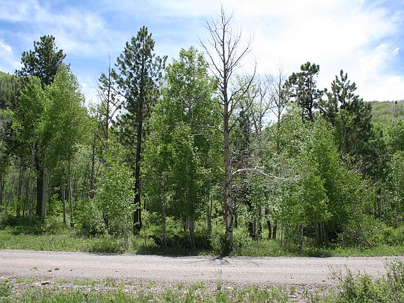 5th image of 2 Elk Creek Meadows Run