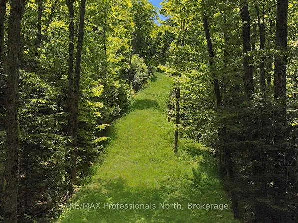 LOT 165 Glen Lake Ct, Dysart Et Al, ON K0M 1S0