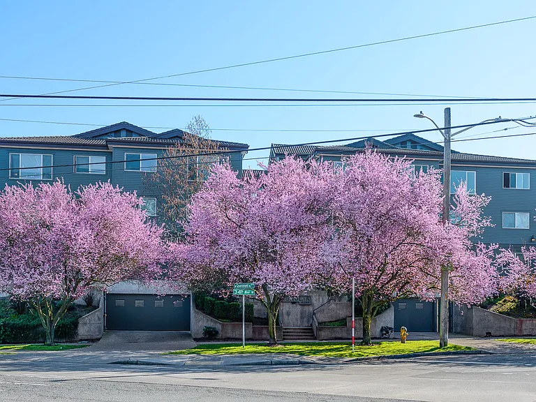 The Magnolia — Photo 16