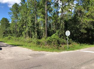 10060 Dillon Ave, Hastings, FL 32145