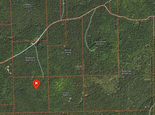 Hamilton Rd, Alpena, MI 49707