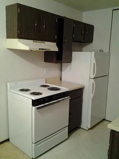 1 bed, $550 — Photo 3