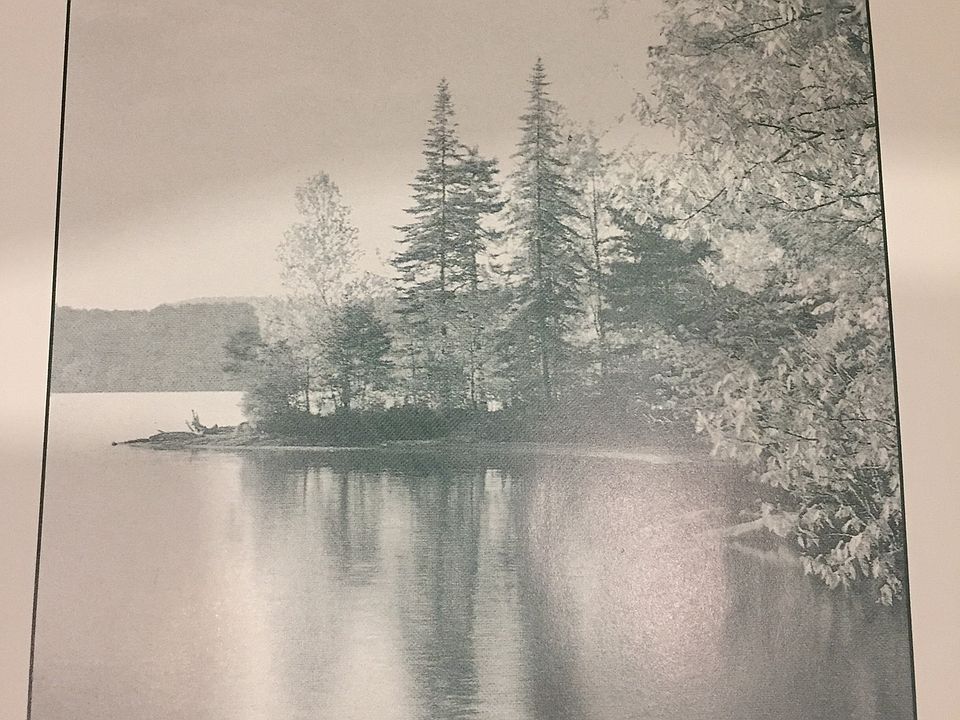 COMMON ACCES TO DOVER LAKE