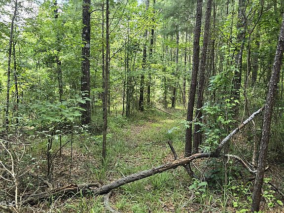 2nd image of Neal Posey Rd