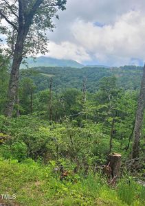 266 Little Sugar Ln LOT 266, Banner Elk, NC, 28604