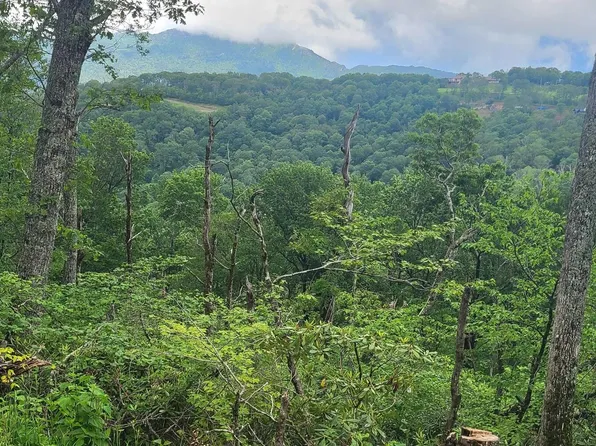 266 Little Sugar Ln Lot 266, Banner Elk, NC 28604