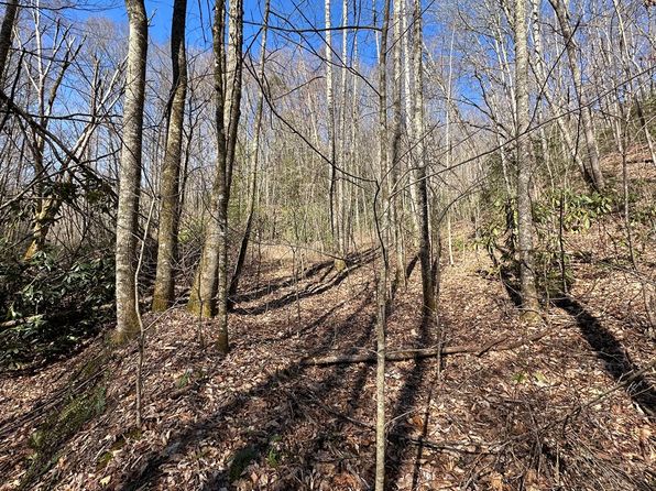 7 Valley View Heights Ln, Andrews, NC 28901