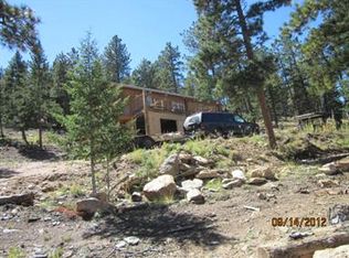 26 High View Ln, Bailey, CO 80421