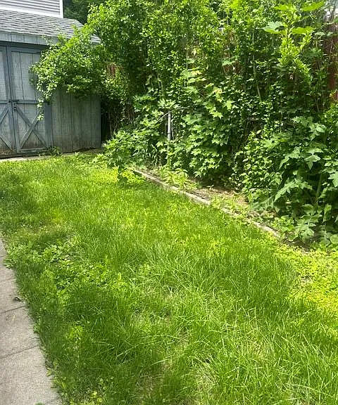 27 Gatto Dr — Photo 16