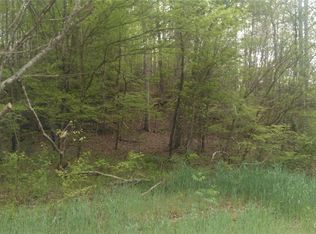 1437 Cedar Creek Rd, Lake Lure, NC 28746