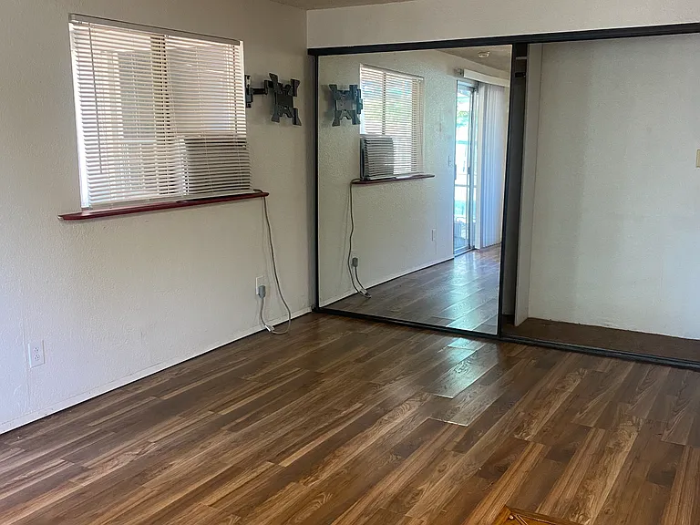Living are with large closet and LVT flooring for easy maintenance.