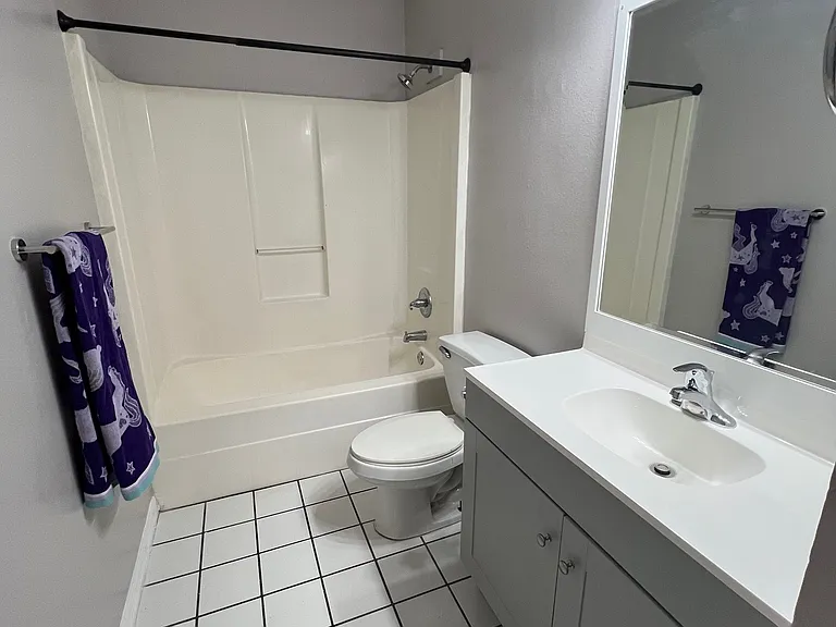 Guest / Main Bathroom