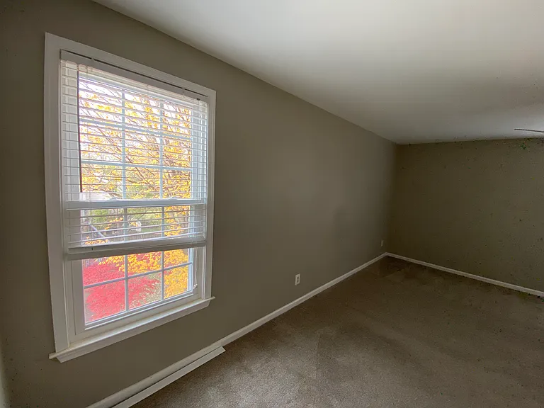 10523 Cedar Creek Dr — Photo 4