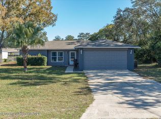 3308 Dorian Ave, Spring Hill, FL 34606