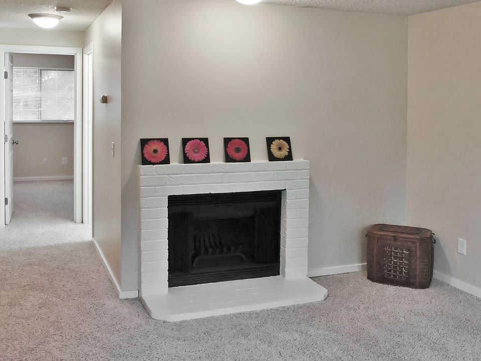 wood burning fireplace