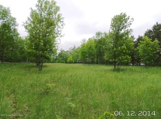 304XX Cordes Beach Rd, Henning, MN 56551