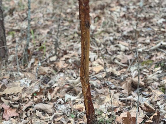 5th image of Gordon Rd