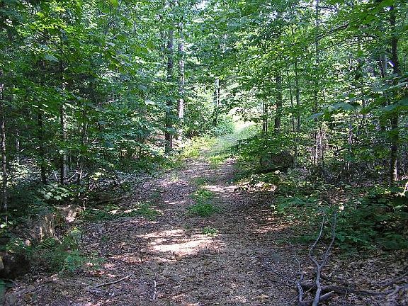 4th image of 107 Wood Lot Ln