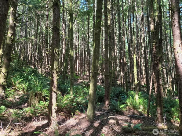 0 NKA S.R. 109 Spur, Hoquiam, WA 98550