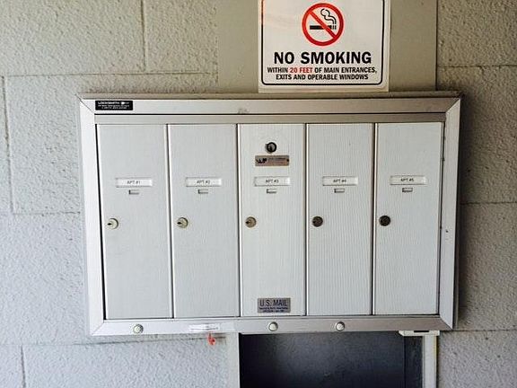 5 Unit Building, Apt. #5 Ground Flr