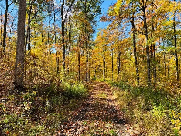 0 Breakneck Road, Birchwood, WI 54817